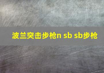 波兰突击步枪n sb sb步枪